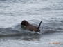Ferie